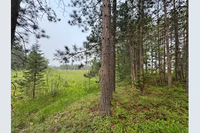 Parcel B Cherry Creek Trail, Grayling, MI 49738 - Photo 21