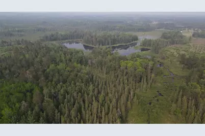 Parcel B Cherry Creek Trail, Grayling, MI 49738 - Photo 9