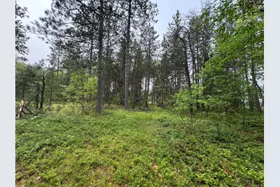 Parcel B Cherry Creek Trail, Grayling, MI 49738 - Photo 17