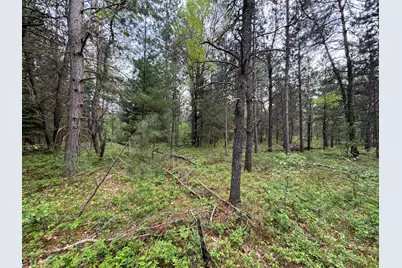 Parcel C Cherry Creek Trail, Grayling, MI 49738 - Photo 15