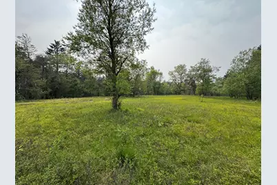 Parcel C Cherry Creek Trail, Grayling, MI 49738 - Photo 11