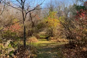 4650 36th Street N, Galesburg, MI 49053 - Photo 39