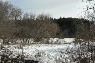 7628 (P-1 N Marble Rd, Howard City, MI 49329 - Photo 1