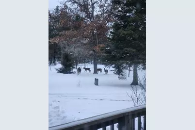 4801 Livingstone Road, Roscommon, MI 48653 - Photo 31