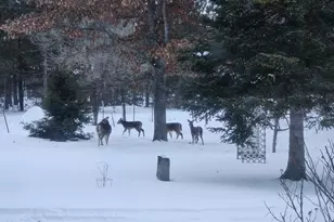 4801 Livingstone Rd, Roscommon, MI 48653 - Photo 31