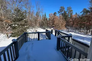 4801 Livingstone Rd, Roscommon, MI 48653 - Photo 11