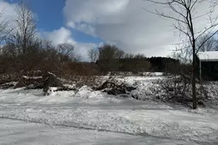 7628 (P-2 N Marble Rd, Howard City, MI 49329 - Photo 1