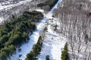 5141 90th Ave, Lakeview, MI 48850 - Photo 39