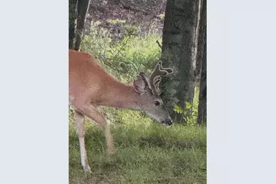 5141 90th Avenue, Lakeview, MI 48850 - Photo 57