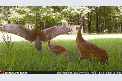 5141 90th Avenue, Lakeview, MI 48850 - Photo 49