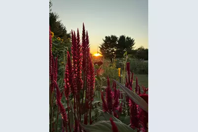 8863 W Pq Avenue, Mattawan, MI 49071 - Photo 51