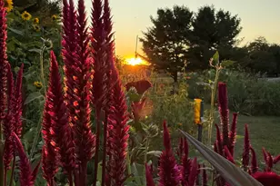 8863 W PQ Ave, Mattawan, MI 49071 - Photo 51