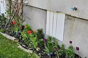 113 Powers St, Cadillac, MI 49601 - Photo 43