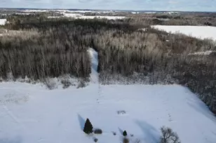 2616 Wickes Rd, West Branch, MI 48661 - Photo 41