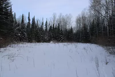 2616 Wickes Road, West Branch, MI 48661 - Photo 65