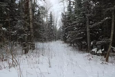 2616 Wickes Road, West Branch, MI 48661 - Photo 69