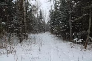 2616 Wickes Rd, West Branch, MI 48661 - Photo 69