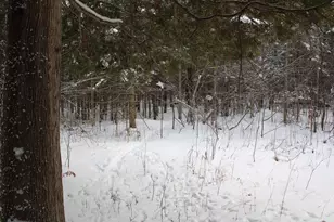 2616 Wickes Rd, West Branch, MI 48661 - Photo 71