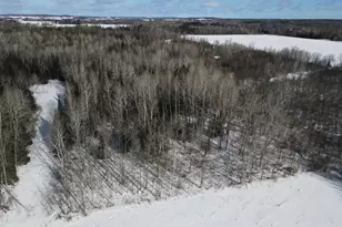 2616 Wickes Rd, West Branch, MI 48661 - Photo 47