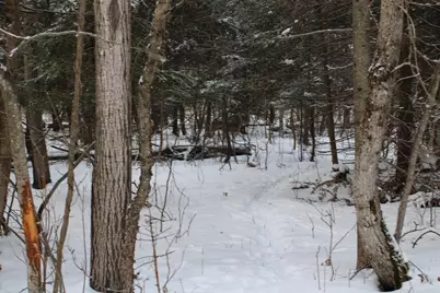 2616 Wickes Road, West Branch, MI 48661 - Photo 81