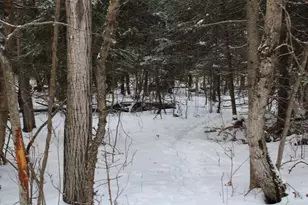 2616 Wickes Rd, West Branch, MI 48661 - Photo 81