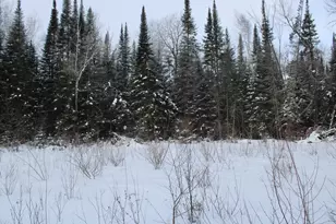 2616 Wickes Rd, West Branch, MI 48661 - Photo 67