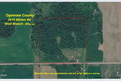 2616 Wickes Road, West Branch, MI 48661 - Photo 3