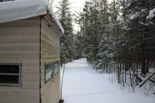 2616 Wickes Rd, West Branch, MI 48661 - Photo 73