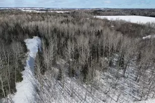 2616 Wickes Rd, West Branch, MI 48661 - Photo 49