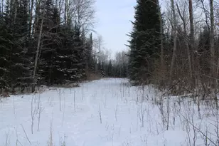 2616 Wickes Rd, West Branch, MI 48661 - Photo 63