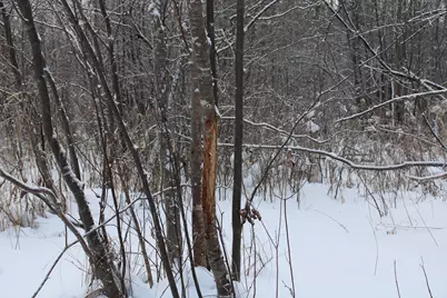 2616 Wickes Road, West Branch, MI 48661 - Photo 77