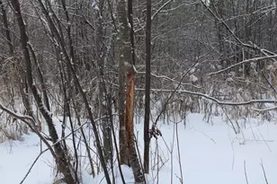 2616 Wickes Rd, West Branch, MI 48661 - Photo 77