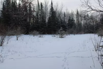 2616 Wickes Road, West Branch, MI 48661 - Photo 79