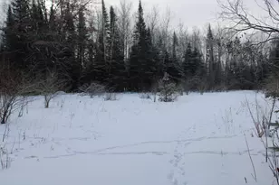 2616 Wickes Rd, West Branch, MI 48661 - Photo 79