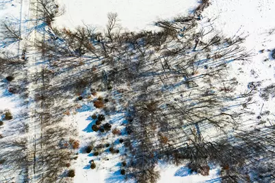 Vl Cemetery Street, Cassopolis, MI 49031 - Photo 3