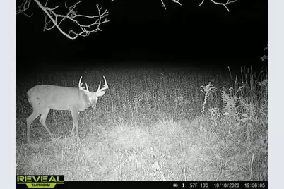 Vl Bond Road, Decatur, MI 49045 - Photo 21