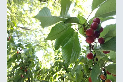 1186 Hampden Road, Muskegon, MI 49441 - Photo 33