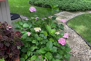 1508 Pinecrest Ave SE, Grand Rapids, MI 49506 - Photo 47