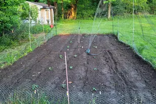 2705 134th Ave, Hopkins, MI 49328 - Photo 47