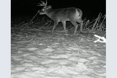 20720 12 Mile Road, Battle Creek, MI 49014 - Photo 25