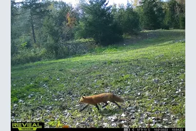 5100 Long Lake Road, Reading, MI 49274 - Photo 79