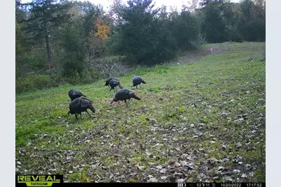 5100 Long Lake Road, Reading, MI 49274 - Photo 3