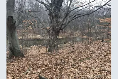 12923 Riverview Drive, Gowen, MI 49326 - Photo 5