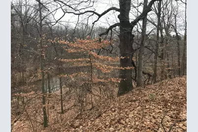 12923 Riverview Drive, Gowen, MI 49326 - Photo 3