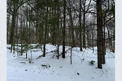 10953 Shawnee Trail, Stanwood, MI 49346 - Photo 1