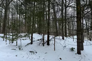 10953 Shawnee Trail, Stanwood, MI 49346 - Photo 1