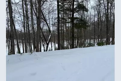 10953 Shawnee Trail, Stanwood, MI 49346 - Photo 3