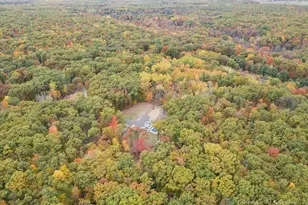 23232 Shorecrest Woods Dr, Pierson, MI 49339 - Photo 119