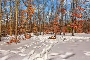 23232 Shorecrest Woods Dr, Pierson, MI 49339 - Photo 63