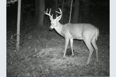 14406 50th Street, Grand Junction, MI 49056 - Photo 13